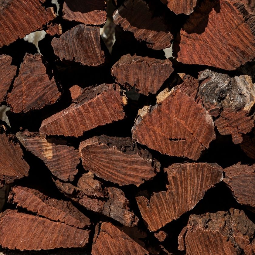 The Best Braai Wood in South Africa - Donkey Long Tong