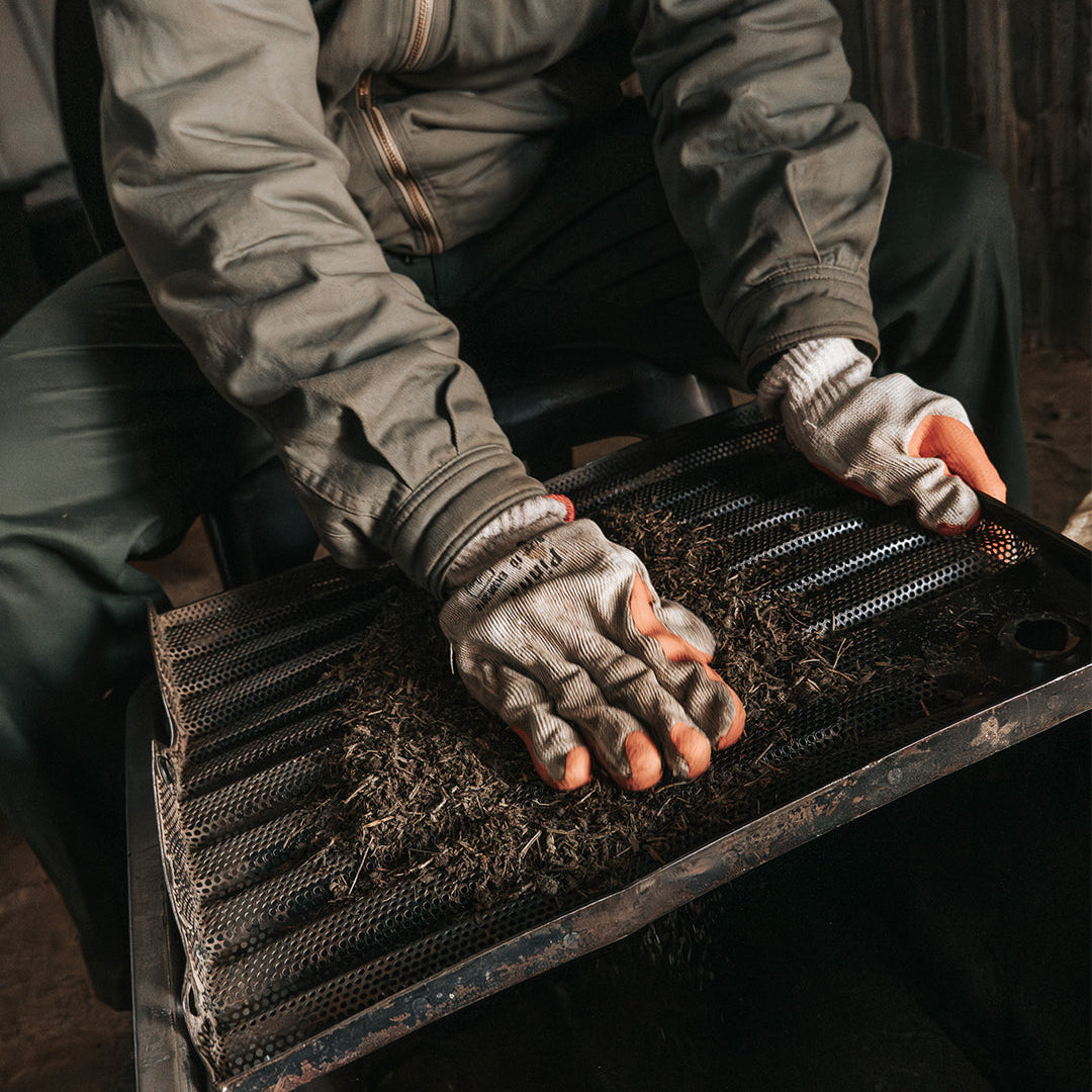 Auction Ticket &amp; Box of Rhino Lights