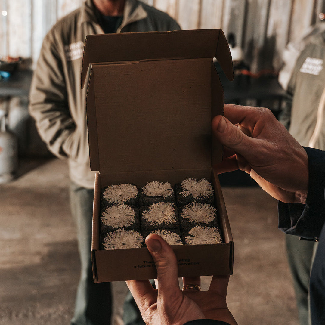Auction Ticket &amp; Box of Rhino Lights