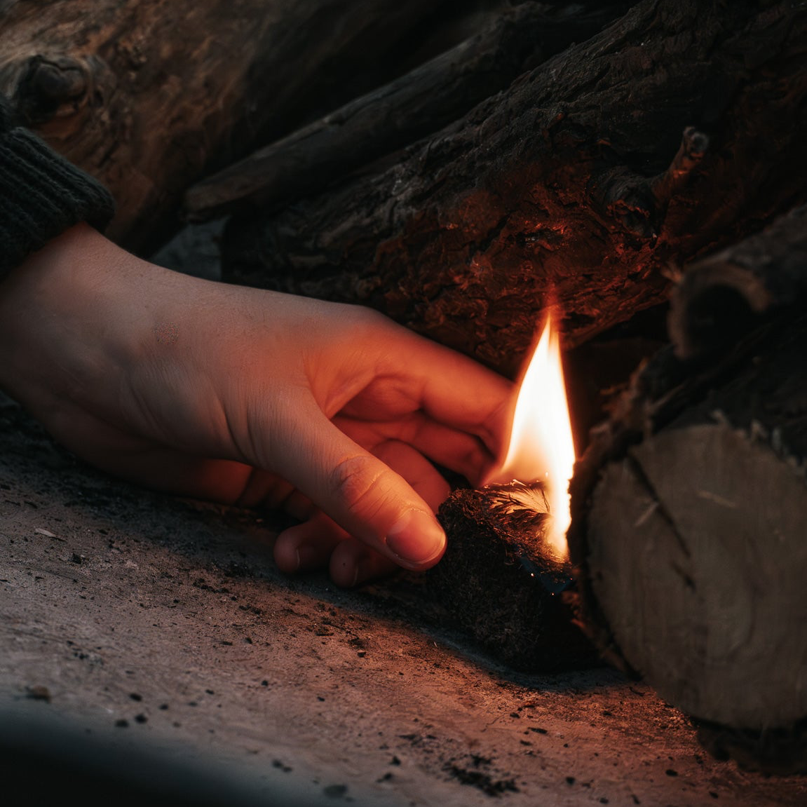 Auction Ticket &amp; Box of Rhino Lights