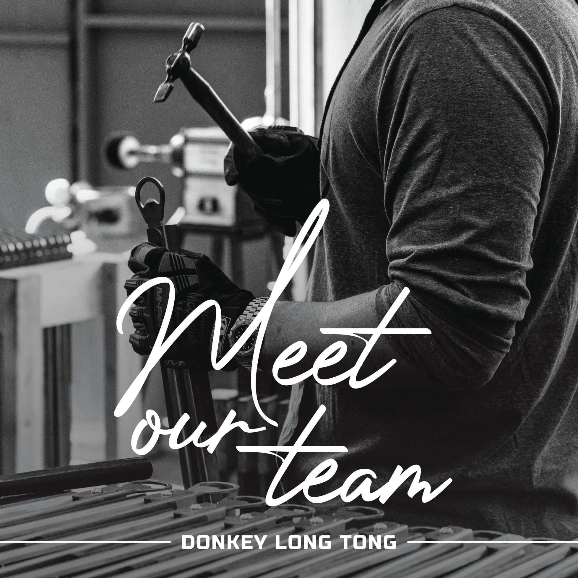 Donkey Long Tong - Meet The Team