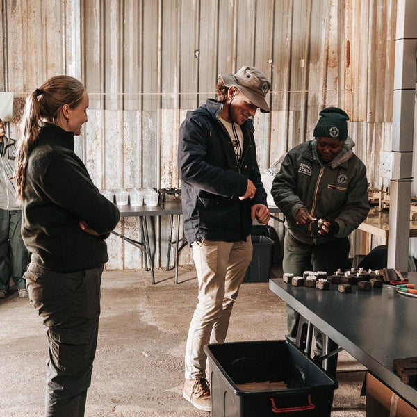 Box of Rhino Lights - Donkey Long Tong