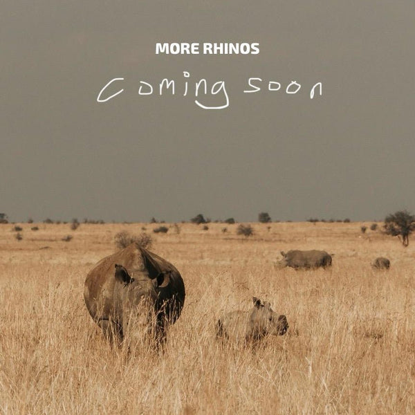 Box of Rhino Lights - Donkey Long Tong