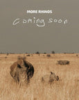 Box of Rhino Lights - Donkey Long Tong