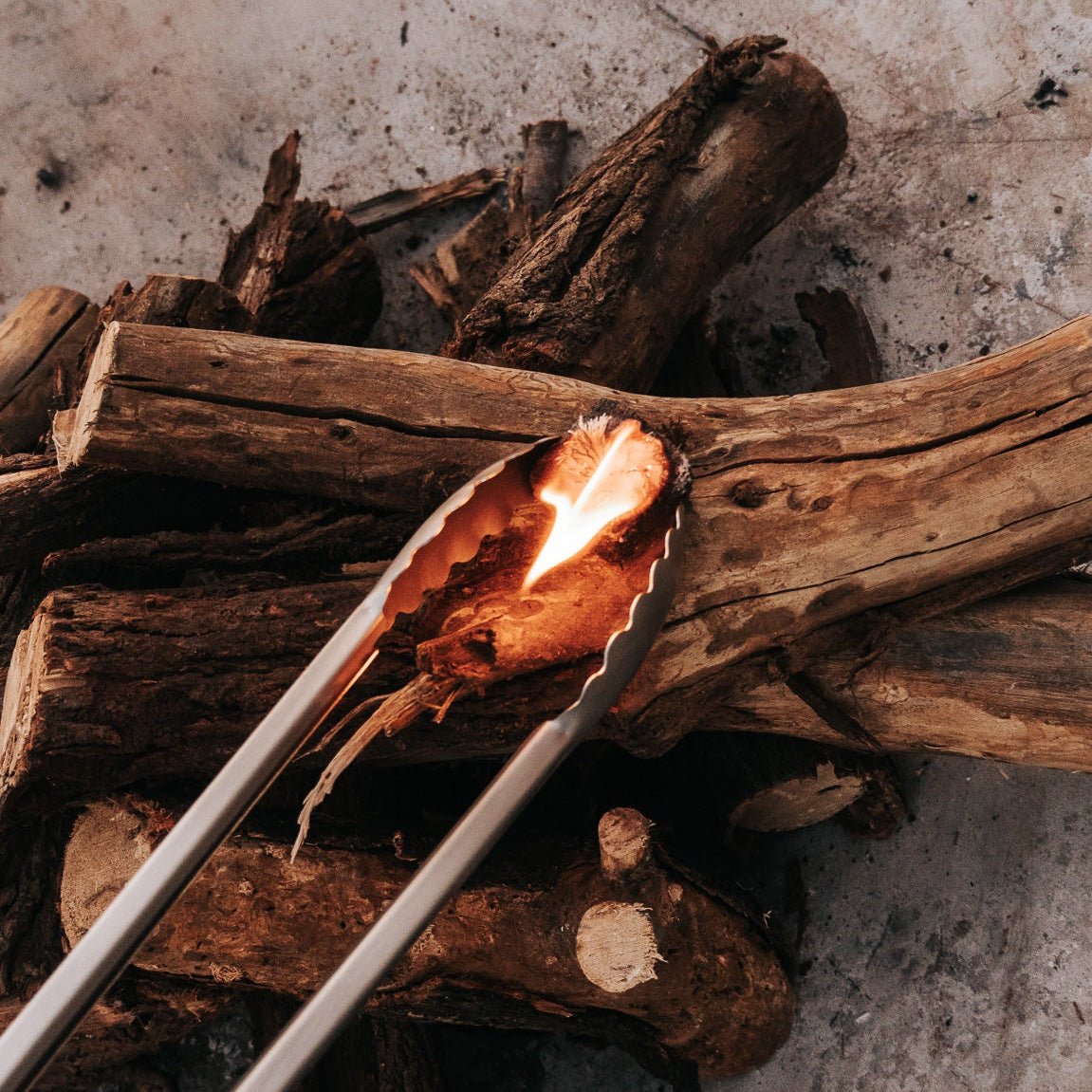 Box of Rhino Lights - Donkey Long Tong