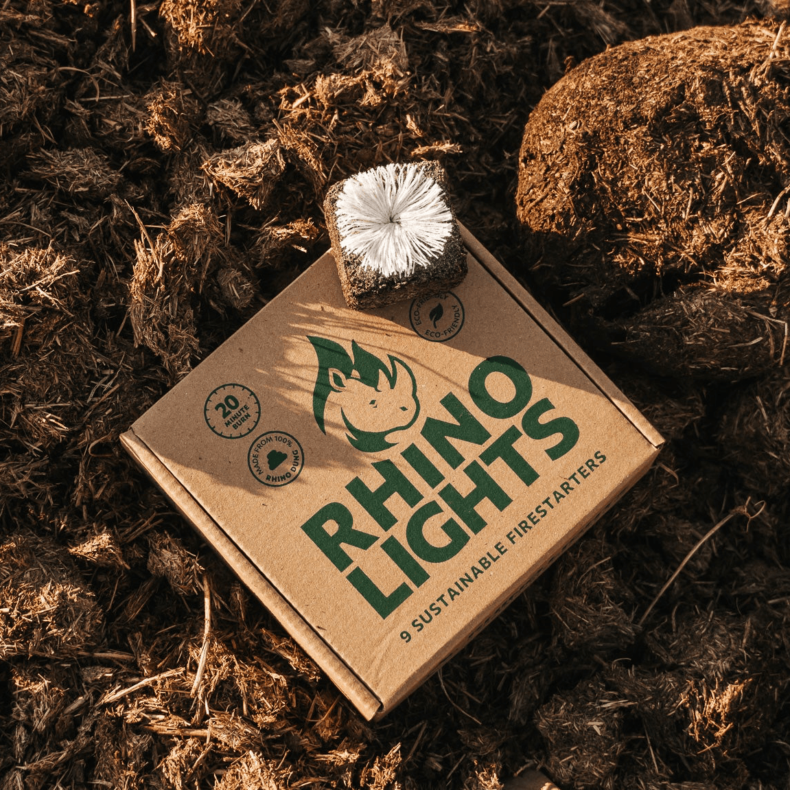 Box of Rhino Lights - Donkey Long Tong