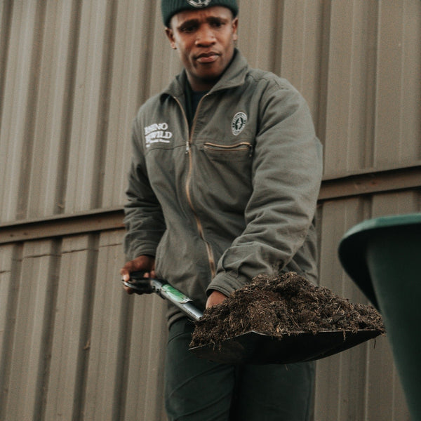 Box of Rhino Lights - Donkey Long Tong