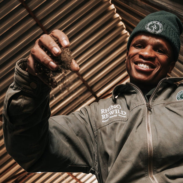 Box of Rhino Lights - Donkey Long Tong