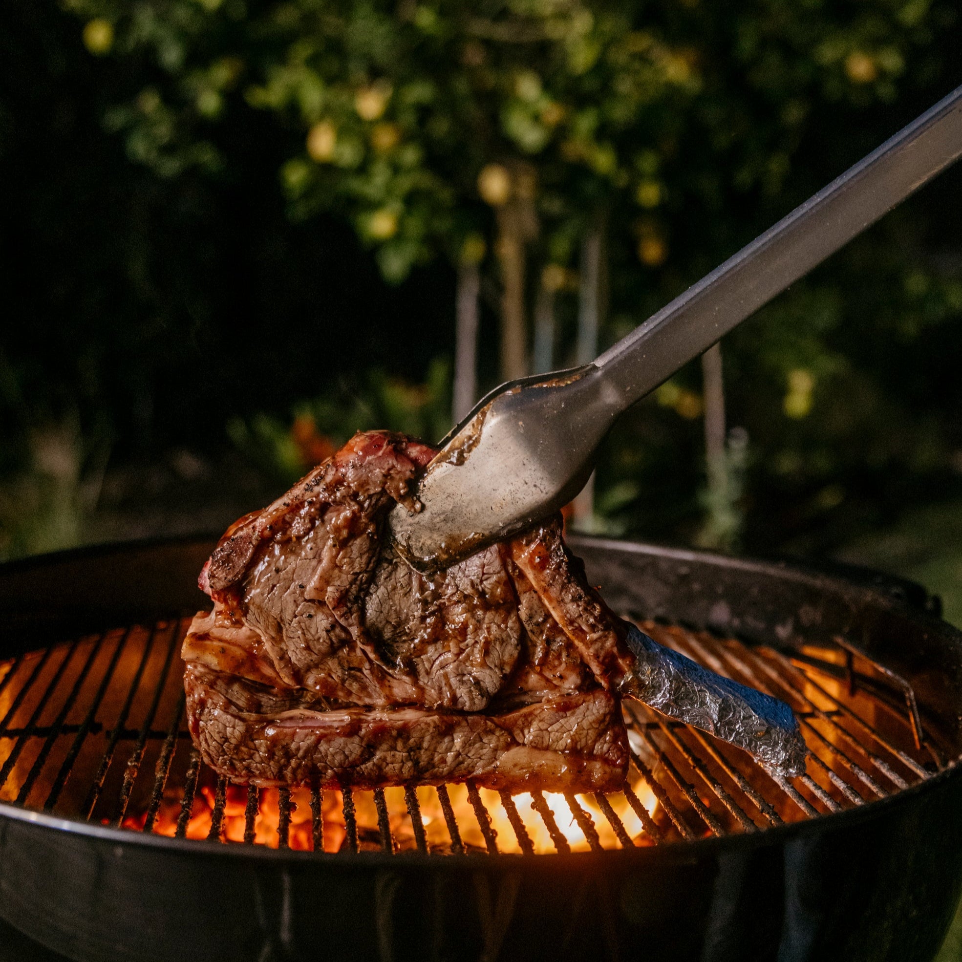 Donkey Tong 69cm - Donkey Long Tong